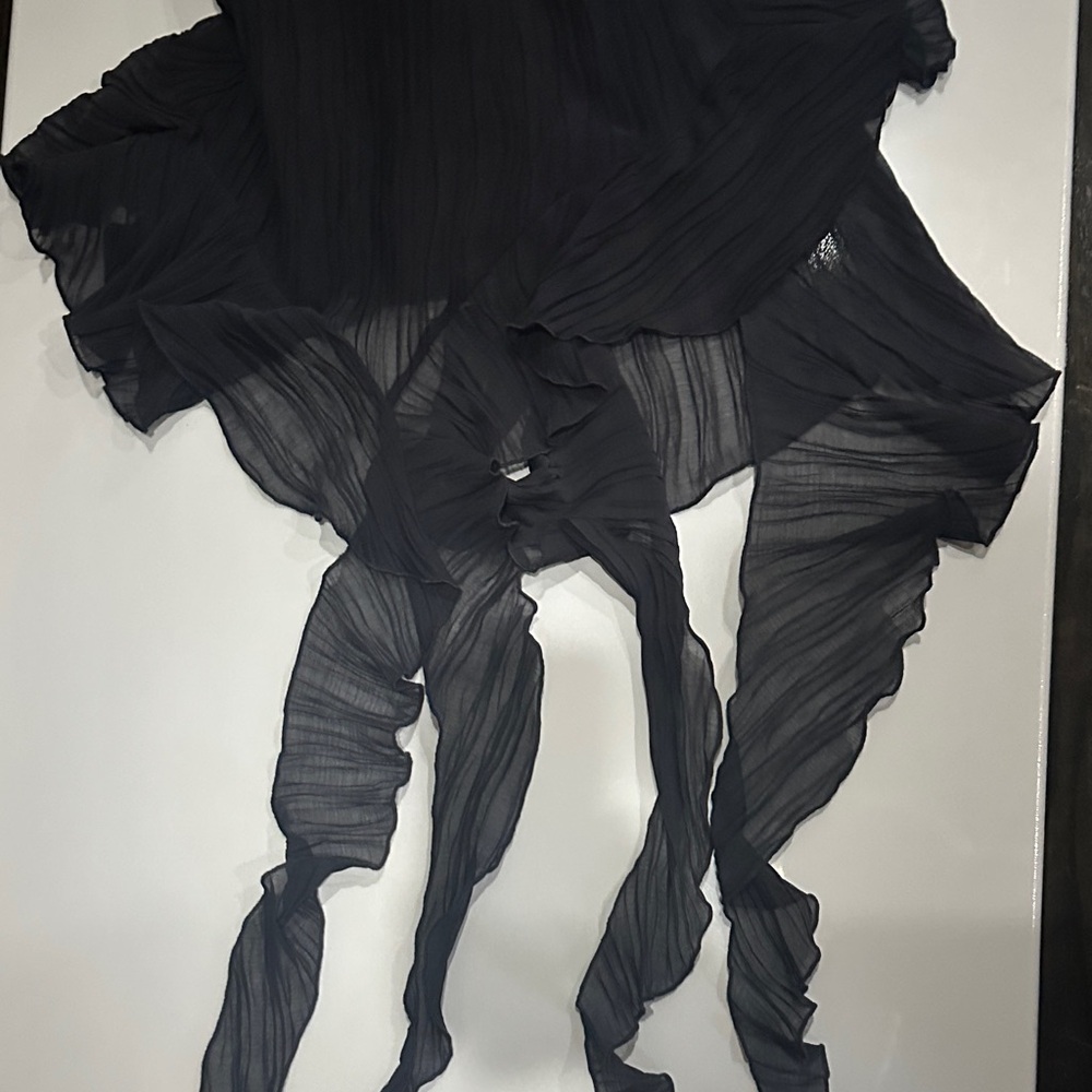 Zara Black Pleated Ruffle Hem Dress- FINAL PRICE - Picture 8 of 8